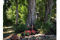 Additional image 86 of 81 Salem St, Greenwich, NY, 12834