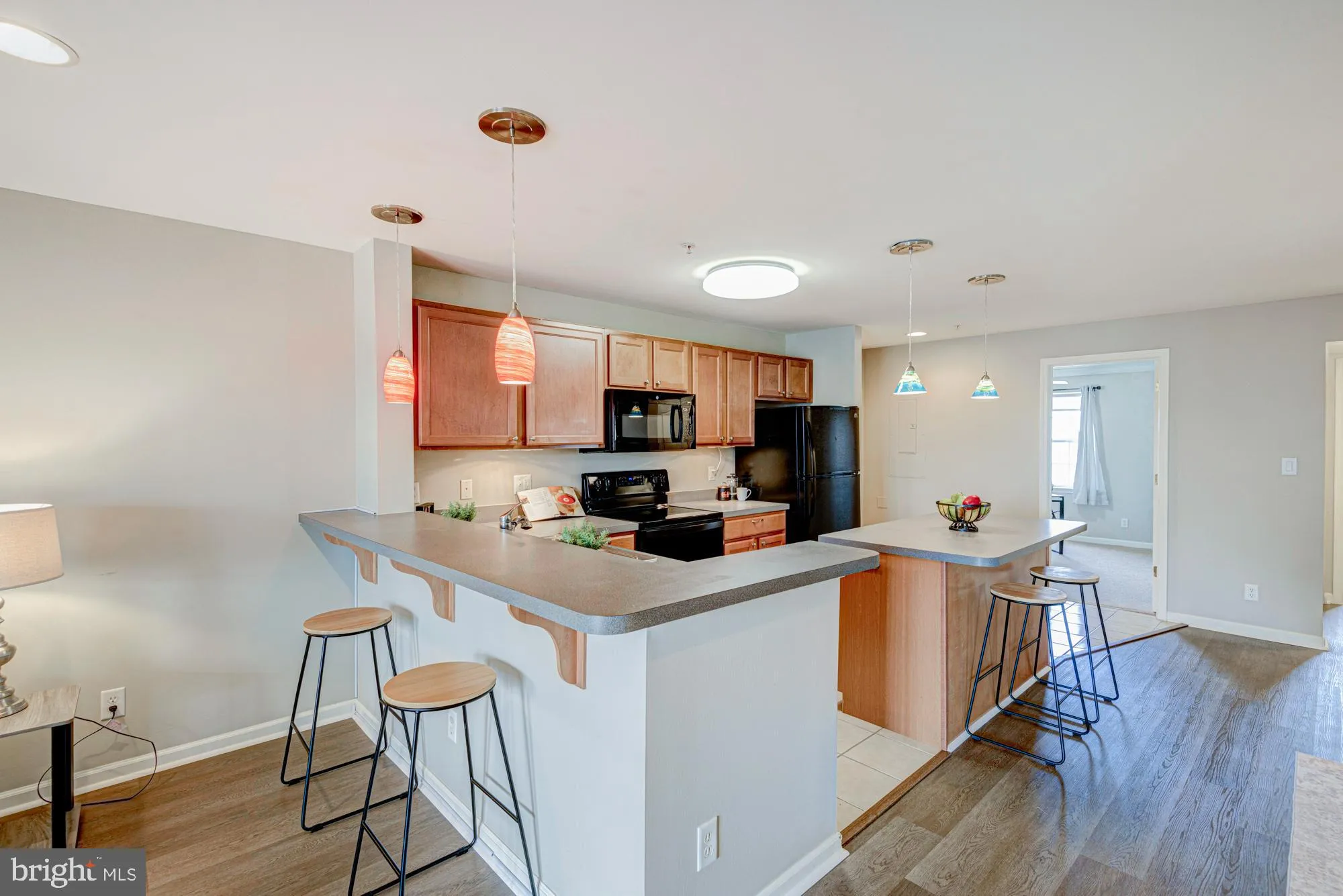 Additional image 67 of 1840 Congressional Village Drive Unit 4201, Middletown, DE 19709