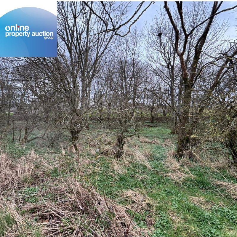 Additional image 4 of Tyrie Church Woodland, Fraserburgh, AB43 6SQ