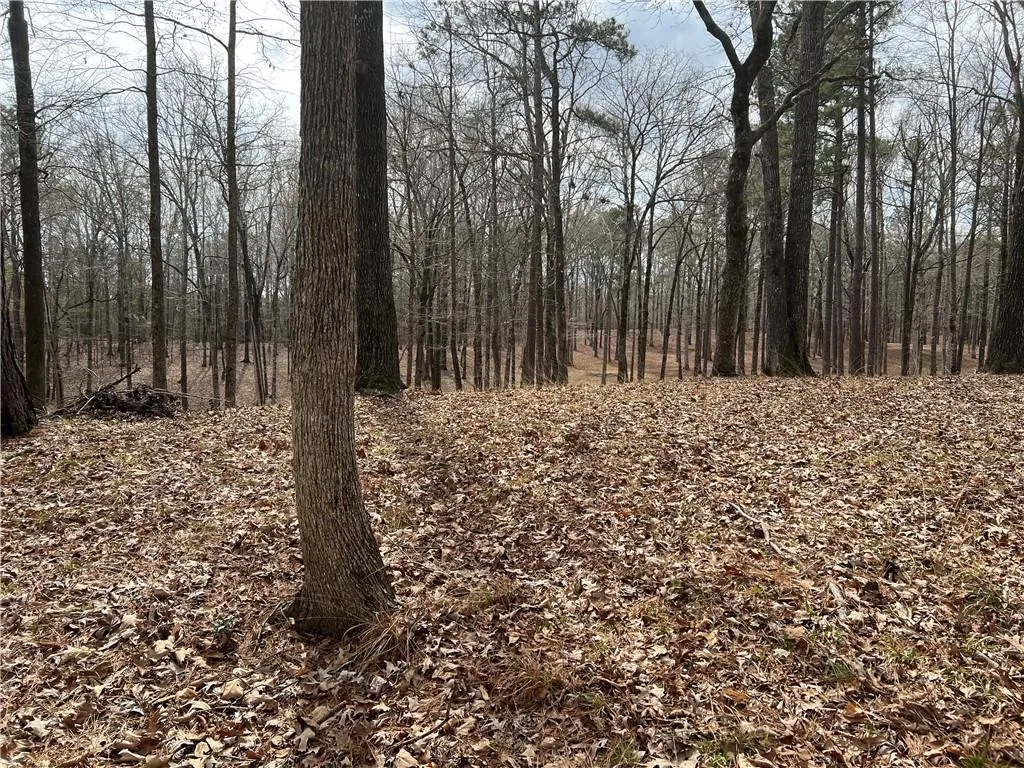 Additional image 11 of Preswick Drive Road, Phenix City, AL 36867