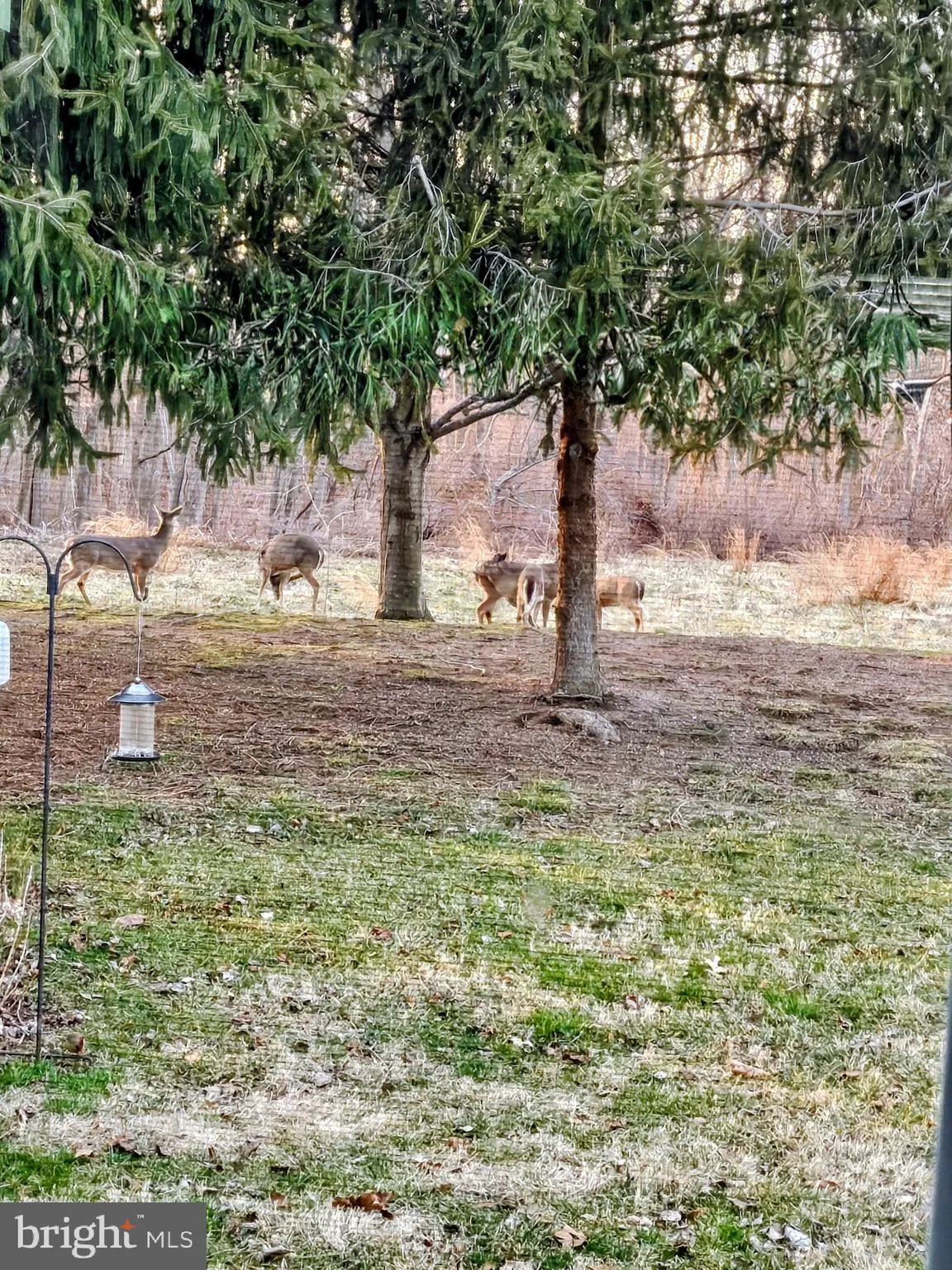 Additional image 108 of 104 Hoffeckers Mill Drive, Smyrna, DE 19977