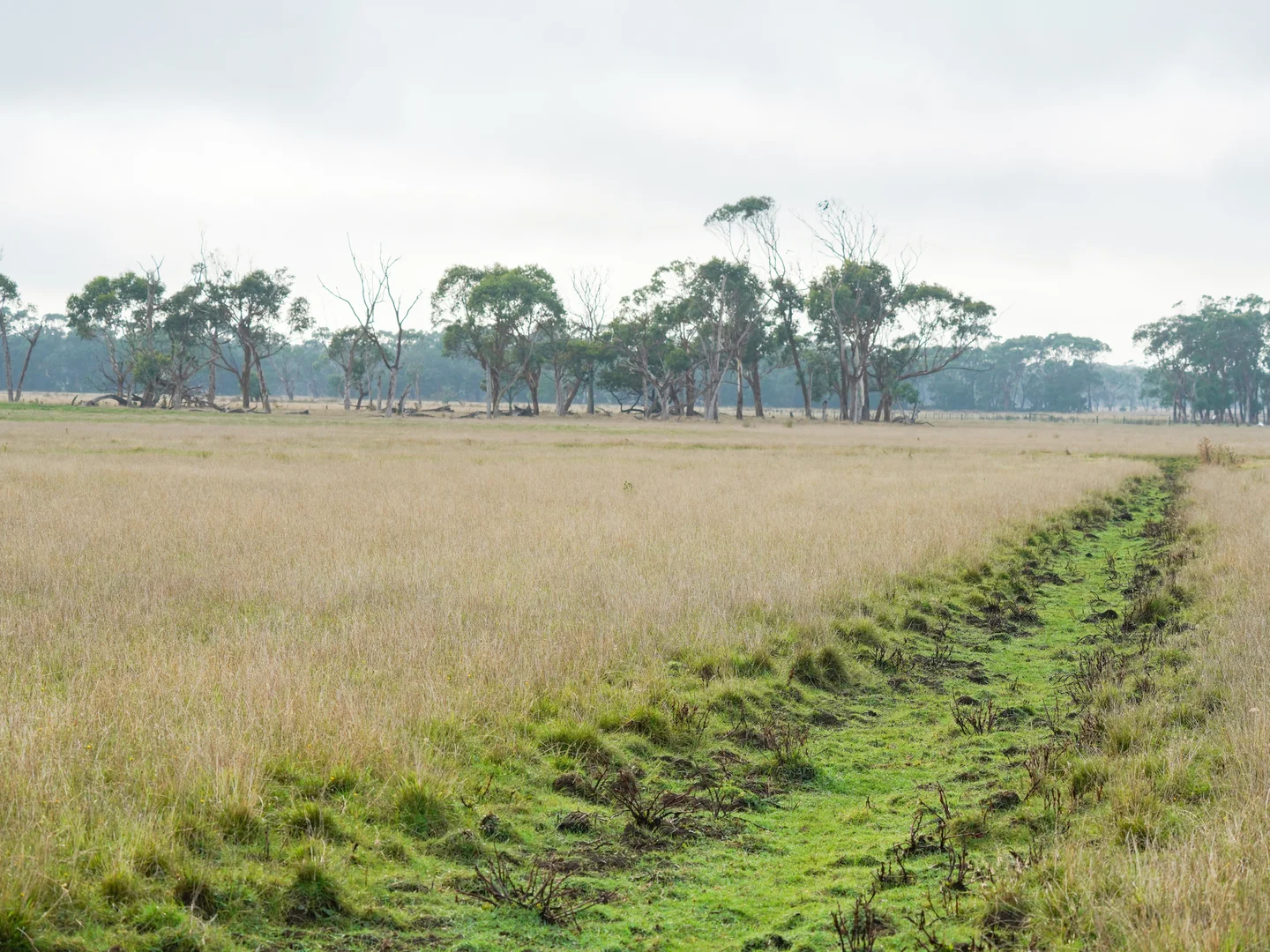 Additional image 17 of 61 Kennys Lane, Gorae West VIC 3305