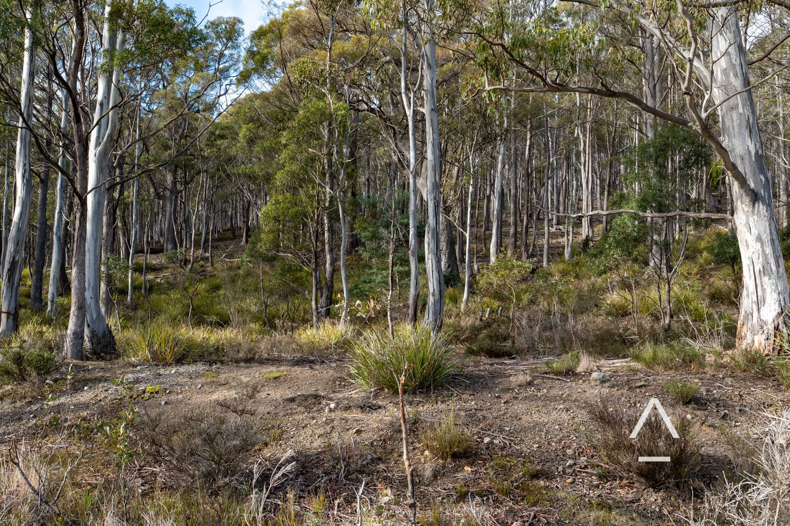 Additional image 7 of 42-46 Lee Street, Rossarden TAS 7213