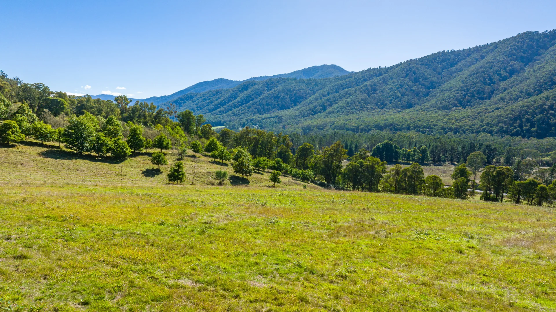 Additional image 6 of Great Alpine Road, Smoko VIC 3741