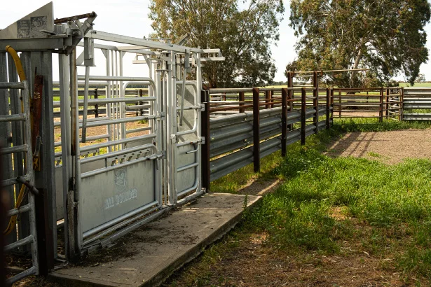 Additional image 14 of 9653 Dukes Highway, Tintinara SA 5266