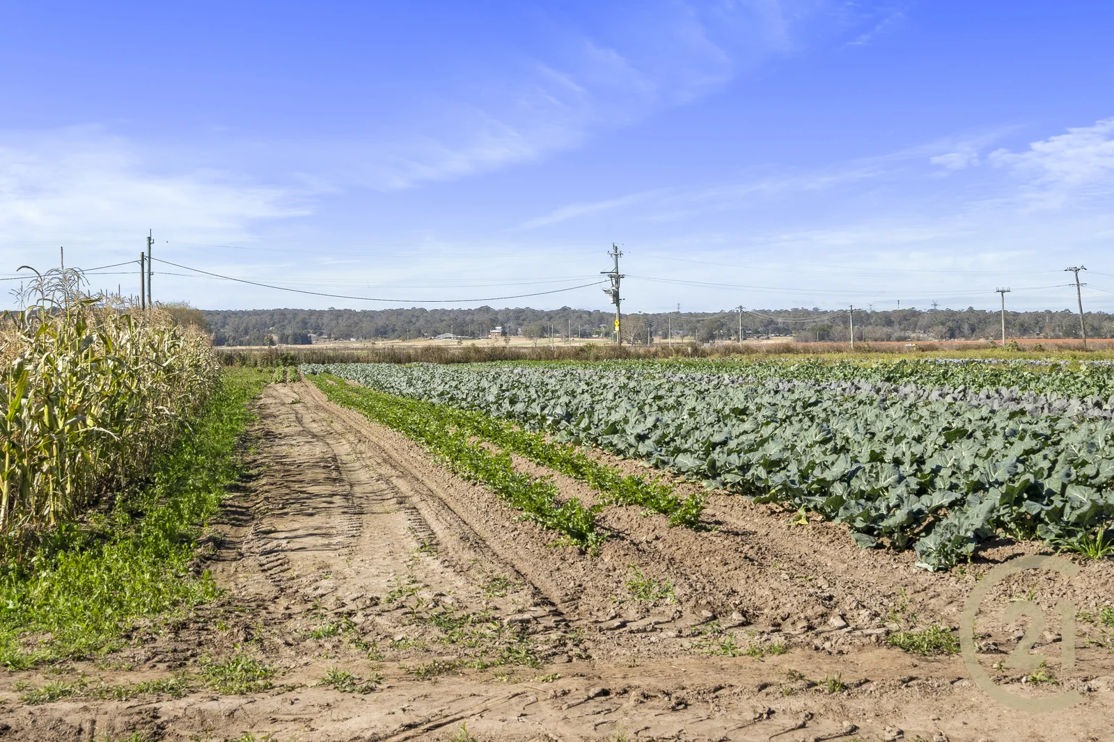 Additional image 9 of 165 Pitt Town Bottoms Road, Pitt Town Bottoms NSW 2756