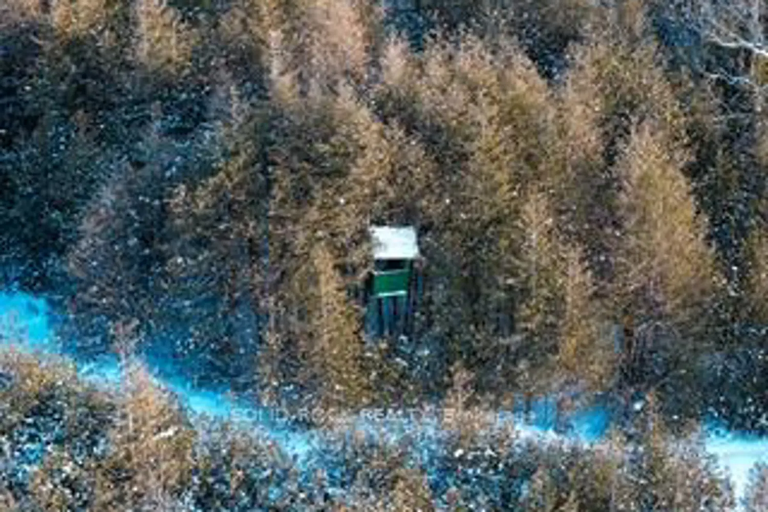 Primary image of 00 Kitley 8 Line