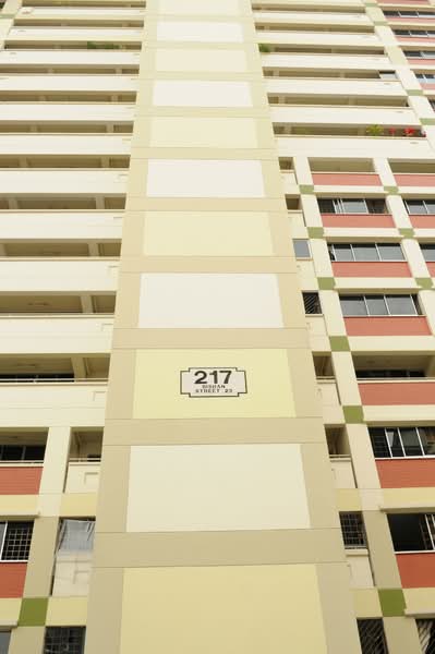 Additional image 15 of 217 Bishan Street 23