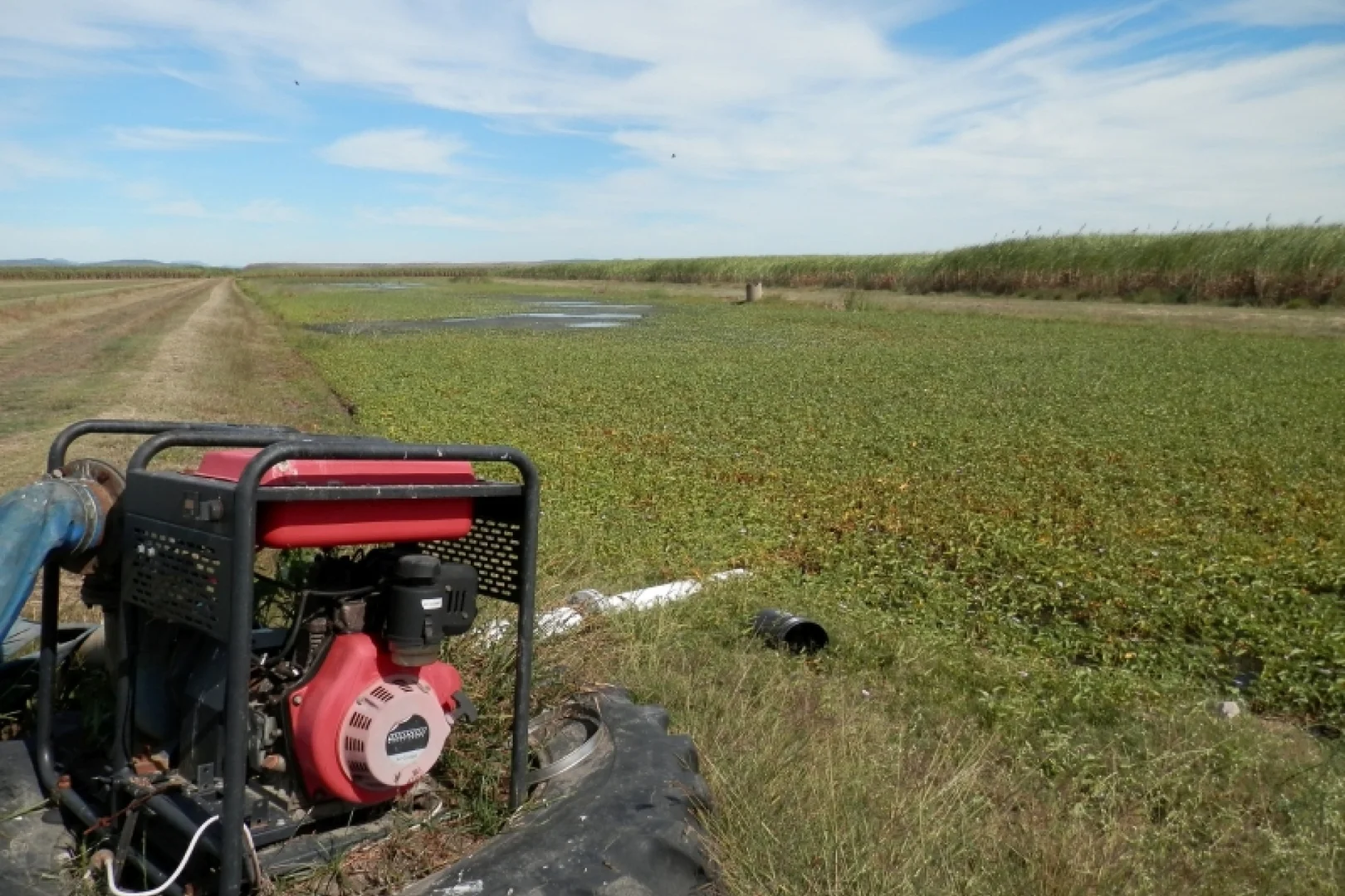 Additional image 16 of 52 Linton Road, Fredericksfield QLD 4806