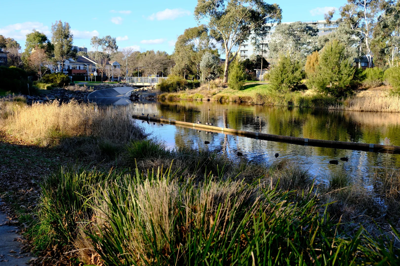 Additional image 6 of 109/355 Northbourne Avenue, Lyneham ACT 2602