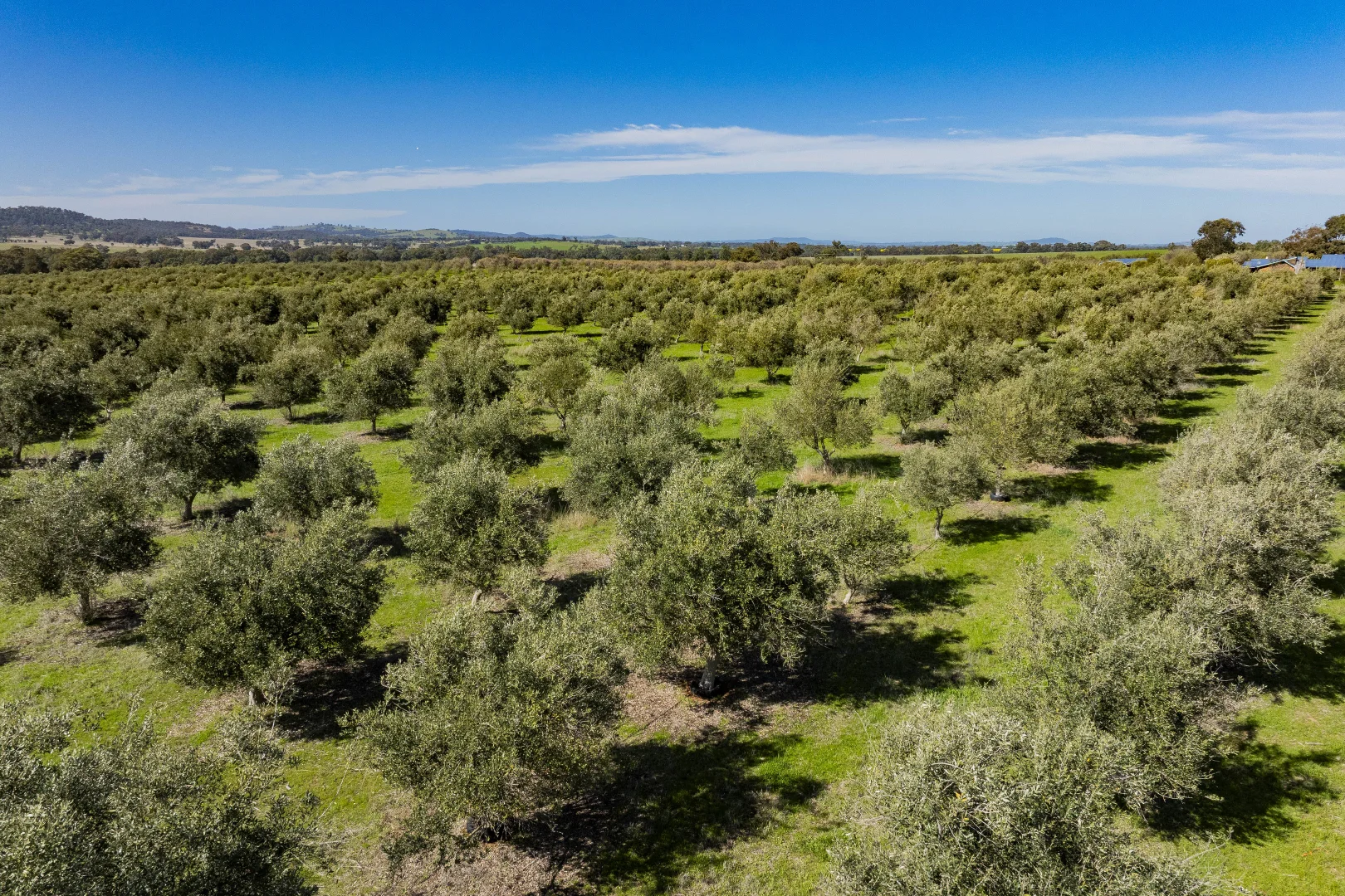 Additional image 80 of 277 Cloughs Road, Yarragundry NSW 2650