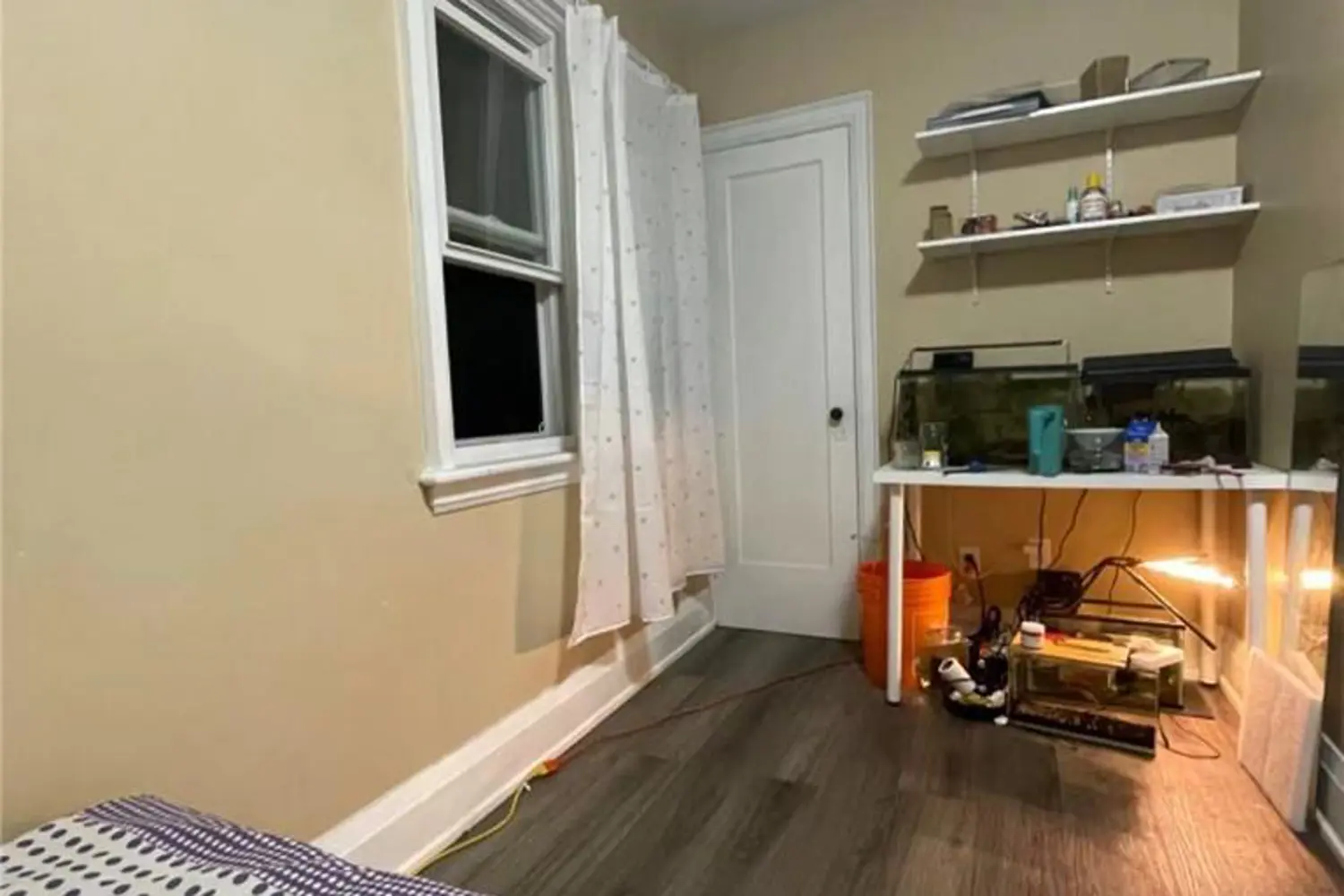 Additional image 8 of 84 Arnold Street