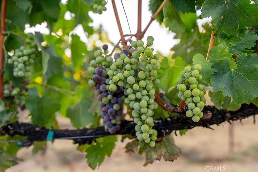 Additional image 45 of 2143 Buena Vista Avenue, Gilroy, CA 95020