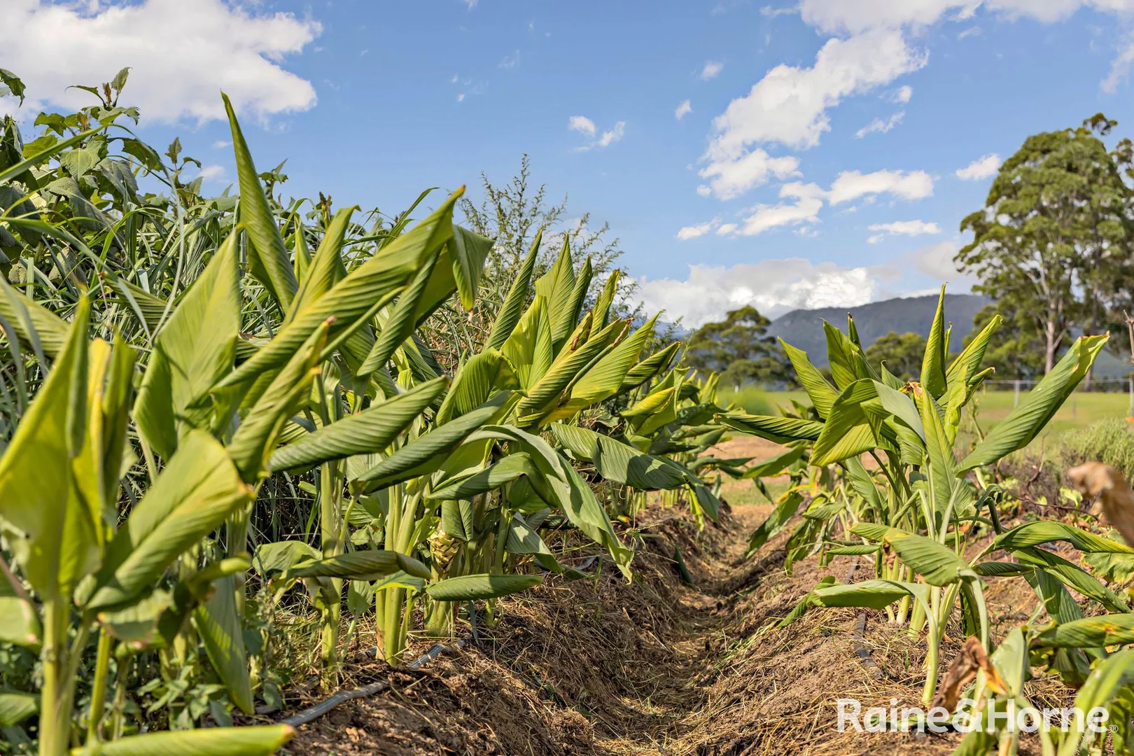 Additional image 43 of 293 Tallowa Dam Road, Kangaroo Valley NSW 2577