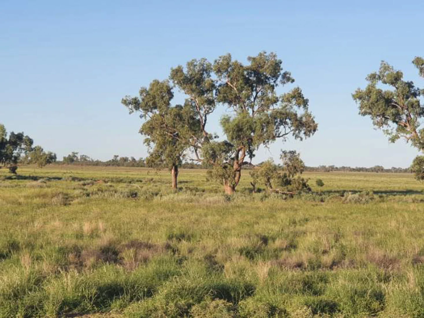 Additional image 8 of 1906 Burrawantie Road, Enngonia NSW 2840