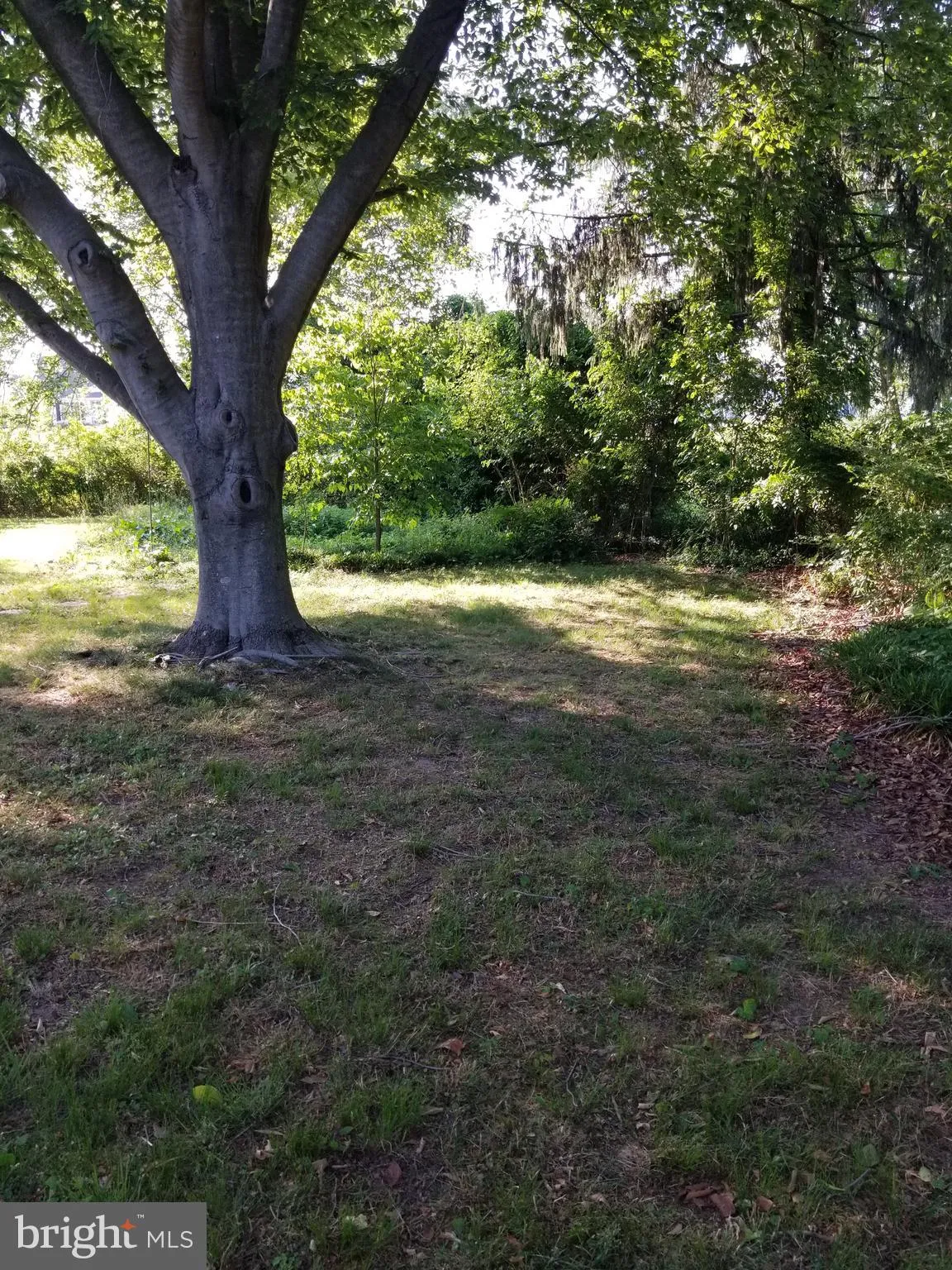 Additional image 26 of 87 Moores Lane, Smyrna, DE 19977