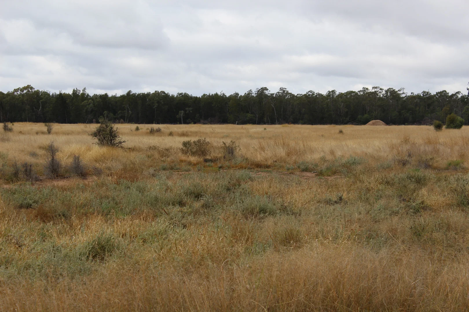 Additional image 13 of 2151 Tenomby Road, Goondiwindi QLD 4390