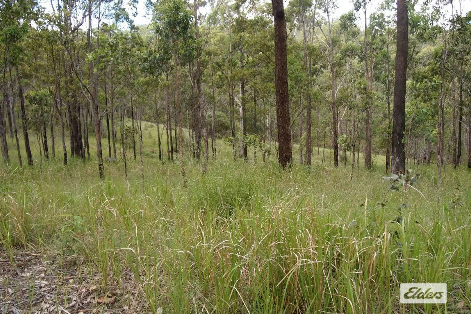 Additional image 6 of 50 Stegemann Road, Upper Glastonbury QLD 4570