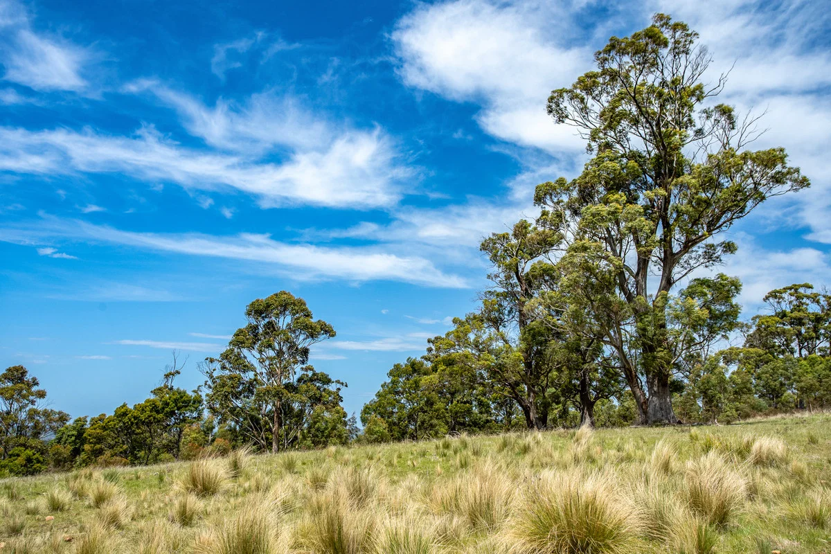 Additional image 13 of 2/10923 Tasman Highway, Little Swanport TAS 7190