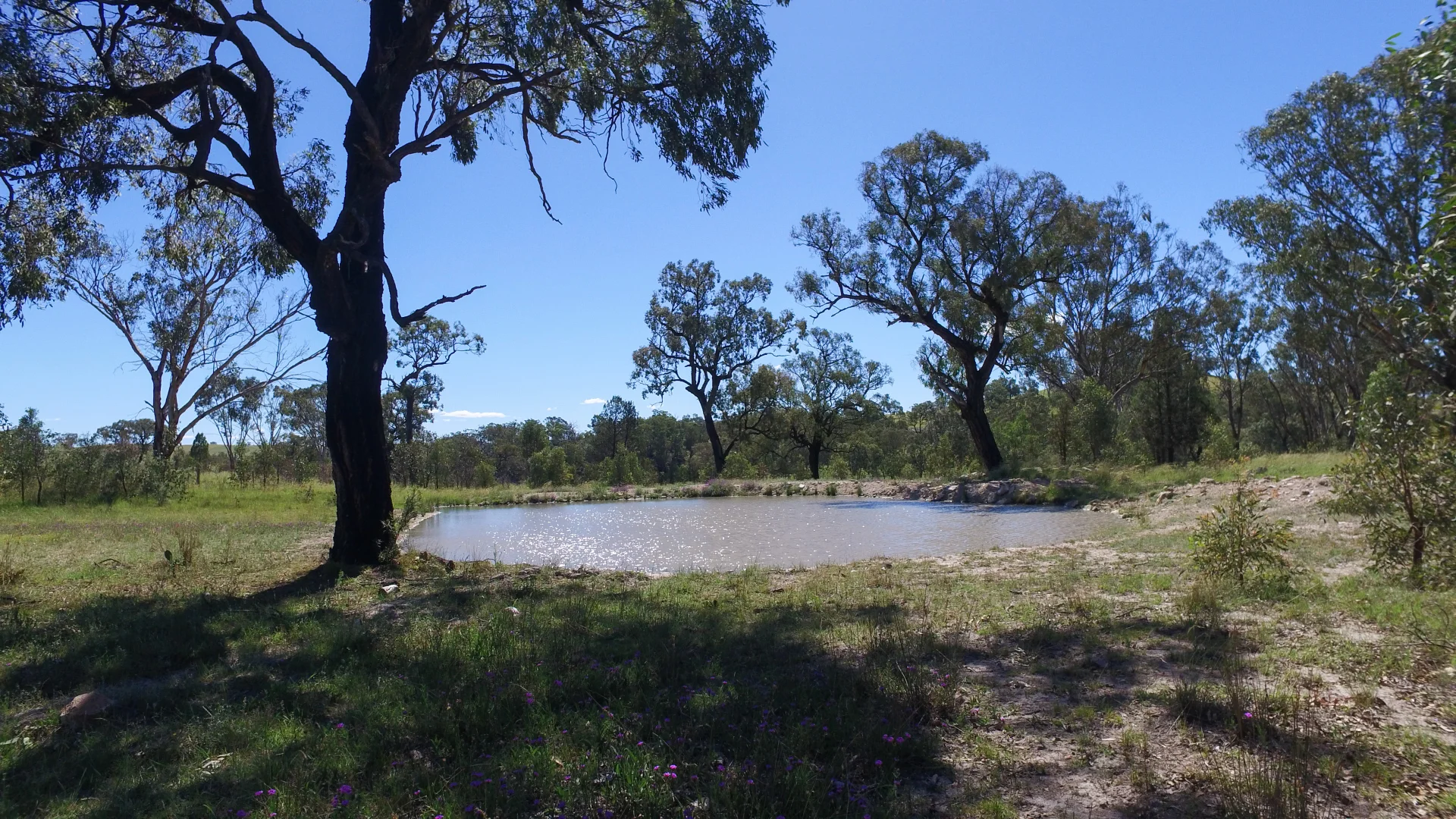 Additional image 22 of 2663 Nullamanna Rd, Inverell NSW 2360