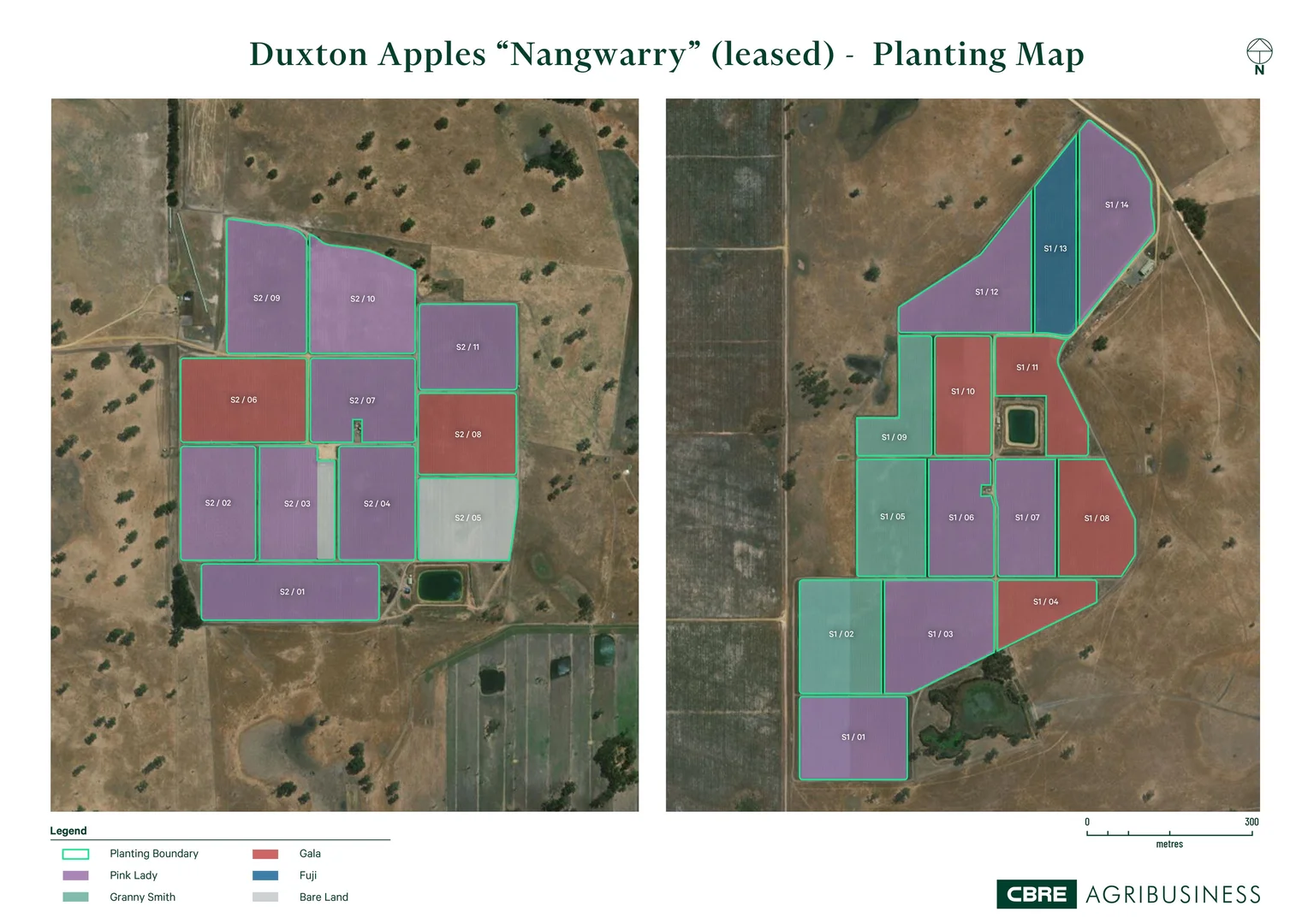 Additional image 25 of Loxton North SA 5333