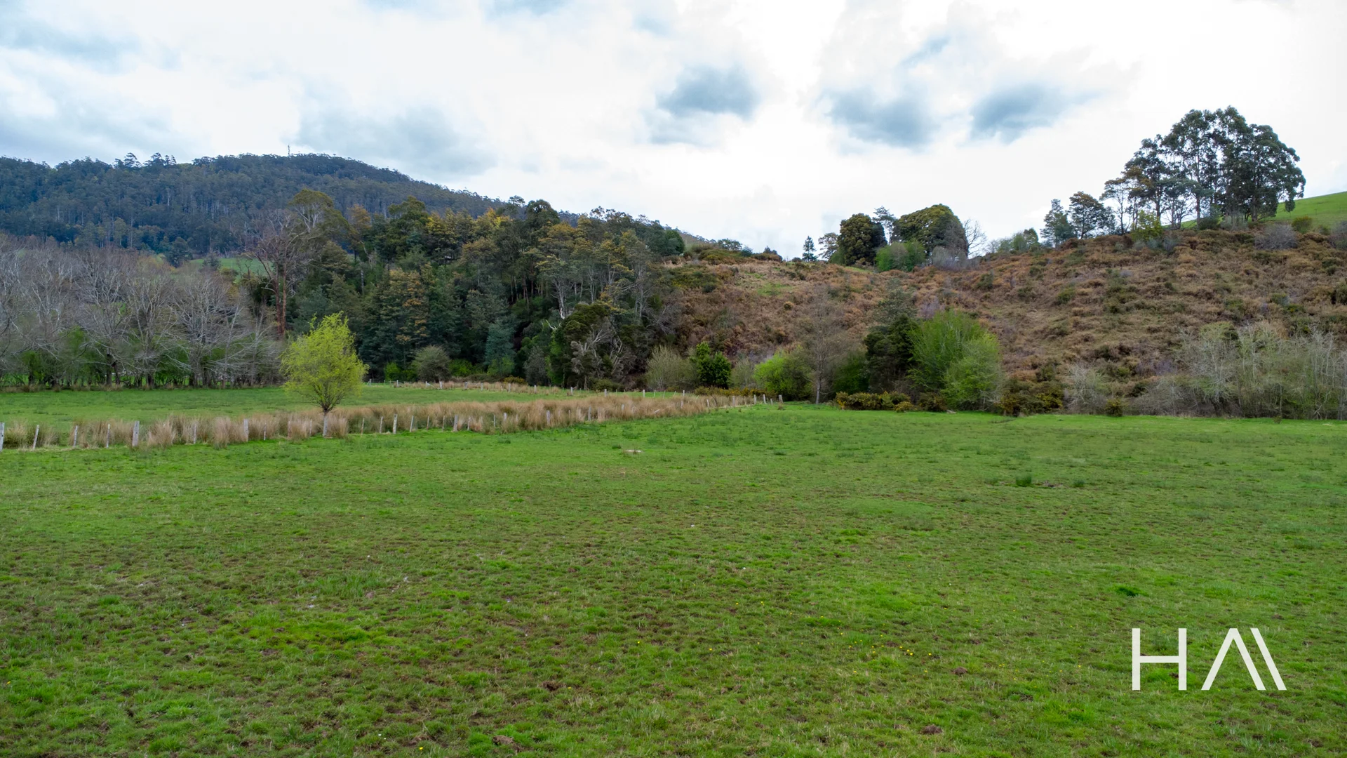 Additional image 8 of 1861 Lilydale Road, Lilydale TAS 7268