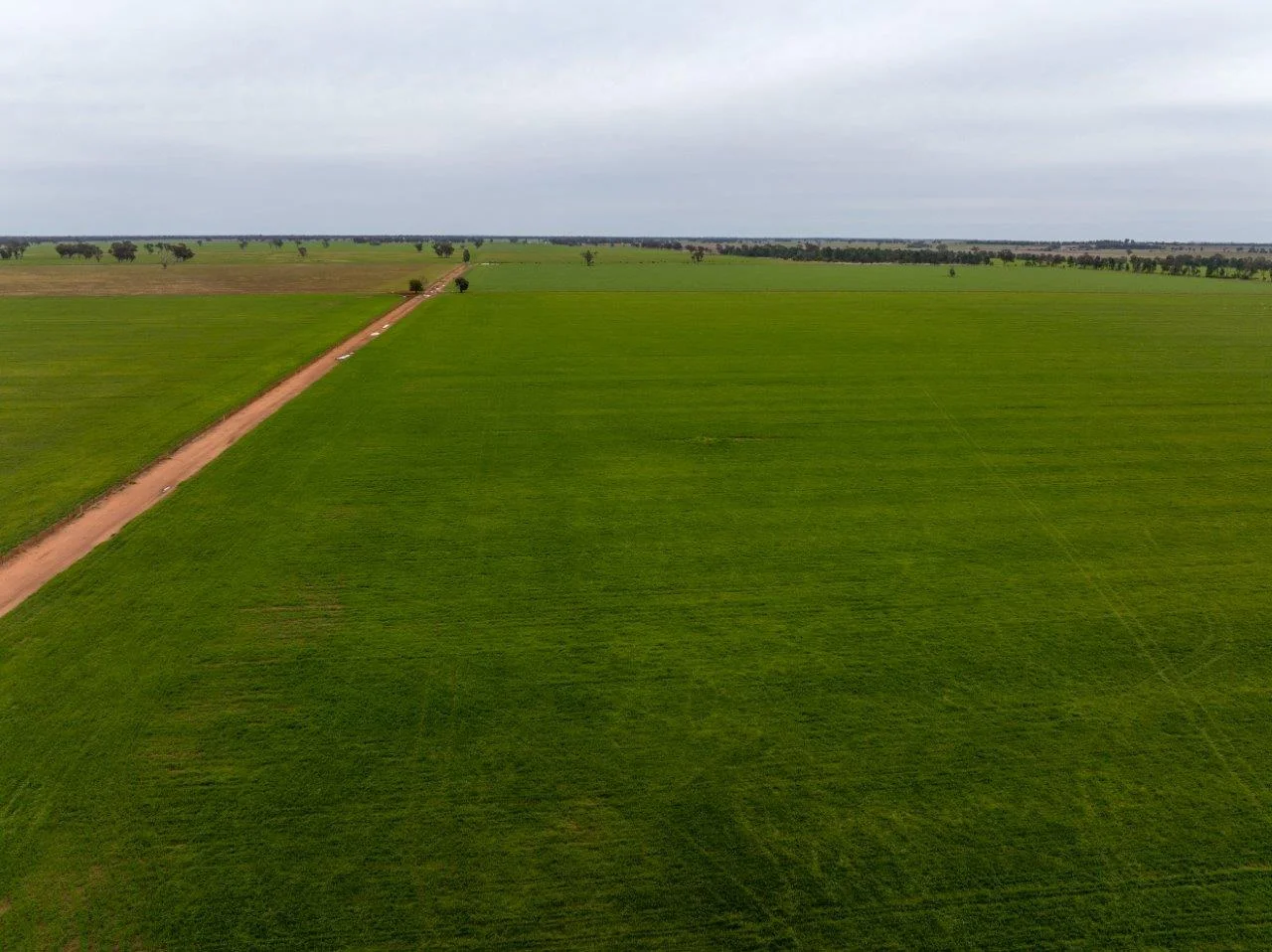 Additional image 2 of 'Lyndhurst' 639 Rannock Road, Coolamon NSW 2701