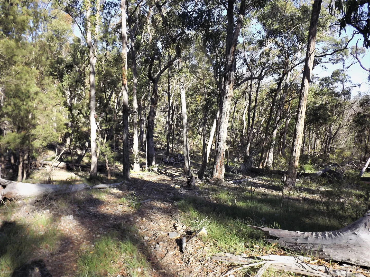 Additional image 4 of 1527 New England Highway, Dundee NSW 2370