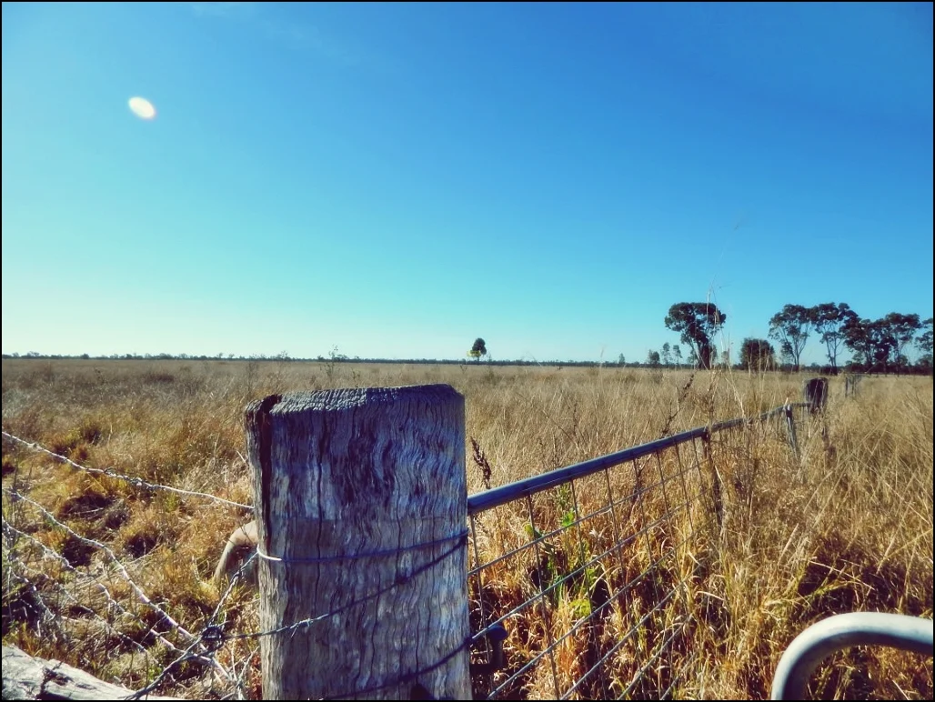 Additional image 13 of Lot 24 Rodney Road, Millmerran QLD 4357