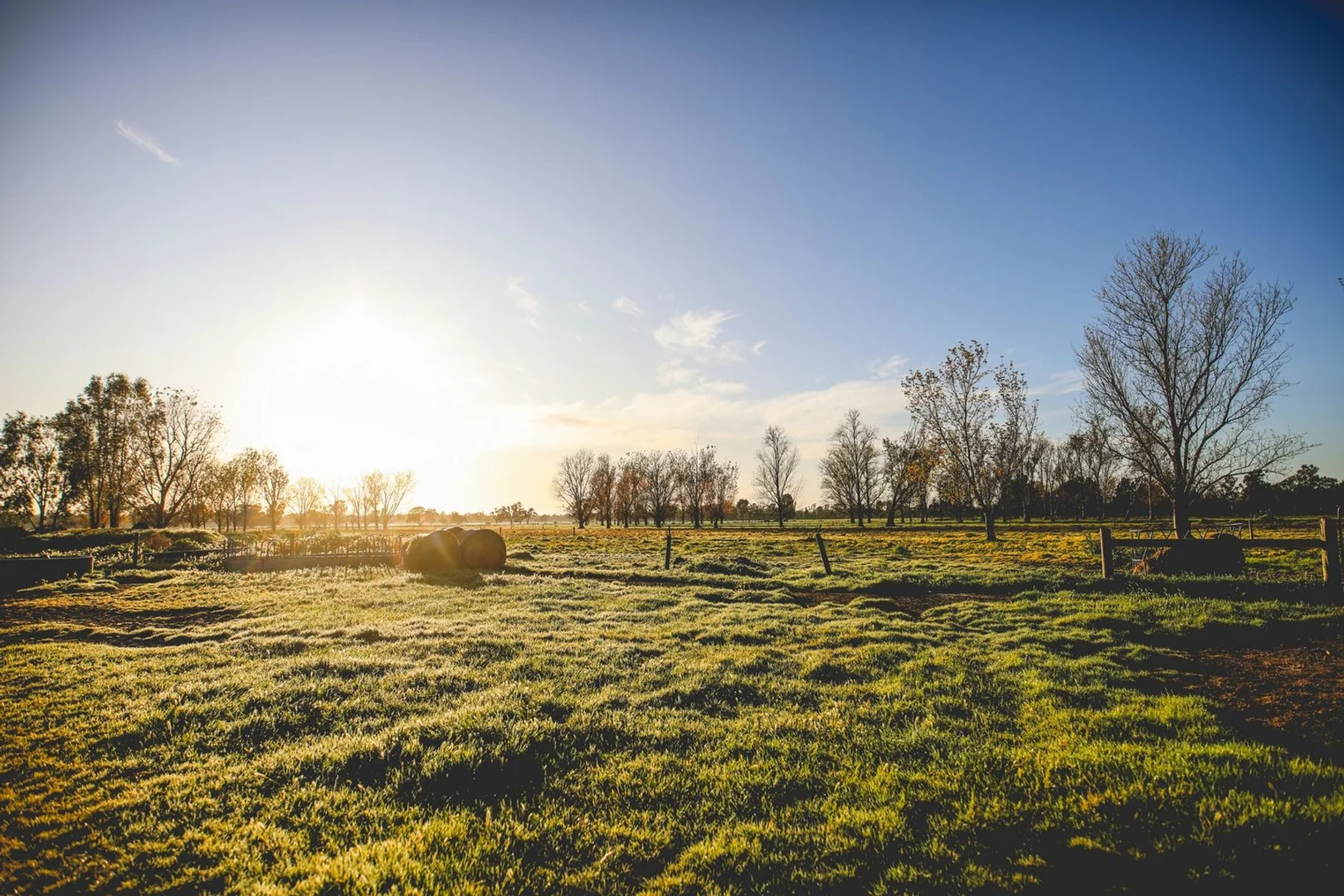 Additional image 27 of 503 Cohuna Island Road, Cohuna VIC 3568