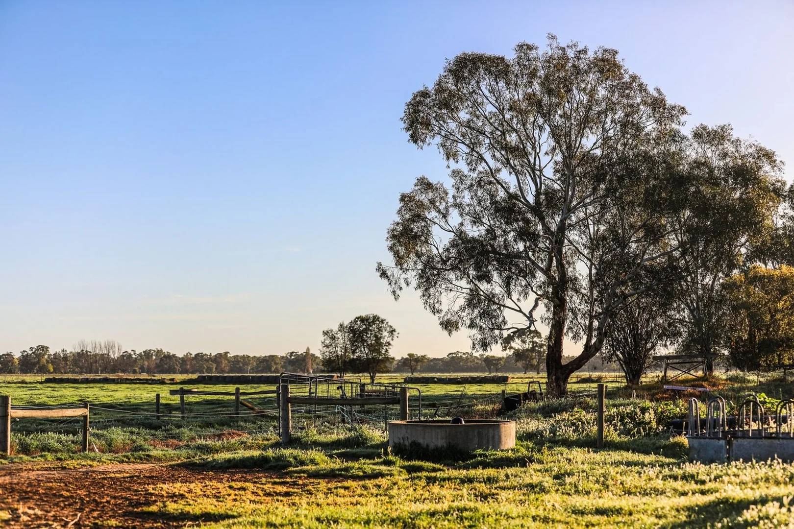 Additional image 28 of 503 Cohuna Island Road, Cohuna VIC 3568