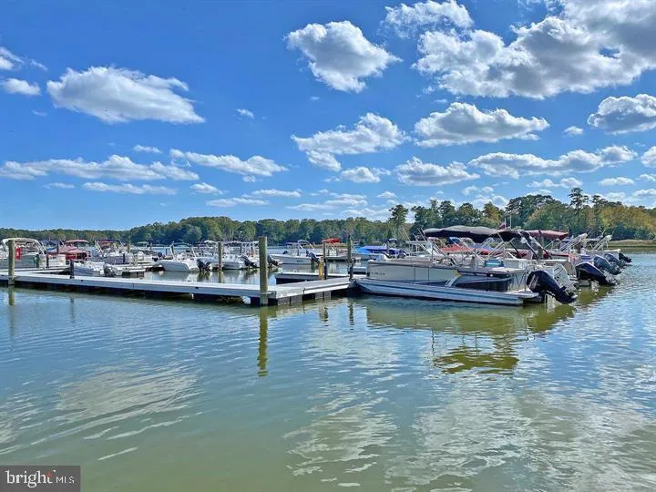 Additional image 42 of 33515 Buttercup Street, Lewes, DE 19958