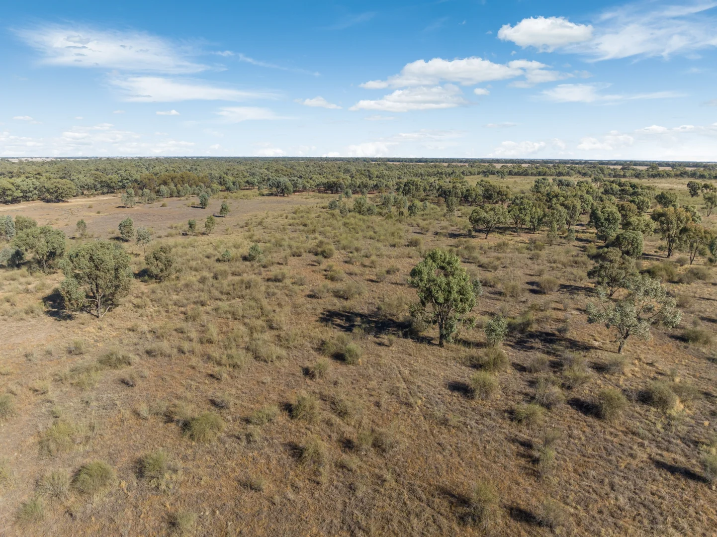 Additional image 5 of Lots 1 & 2/1085 Kerang-Lalbert Road, Sandhill Lake, Kerang VIC 3579
