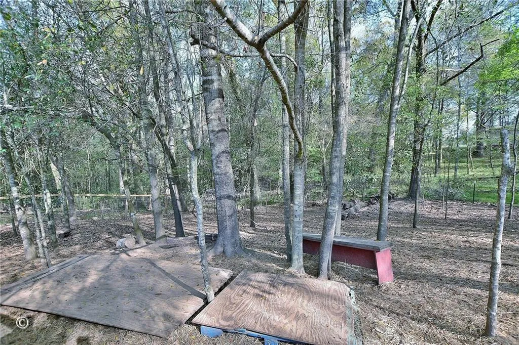 Additional image 26 of 10 Ihagee Creek Court, Fort Mitchell, AL 36856