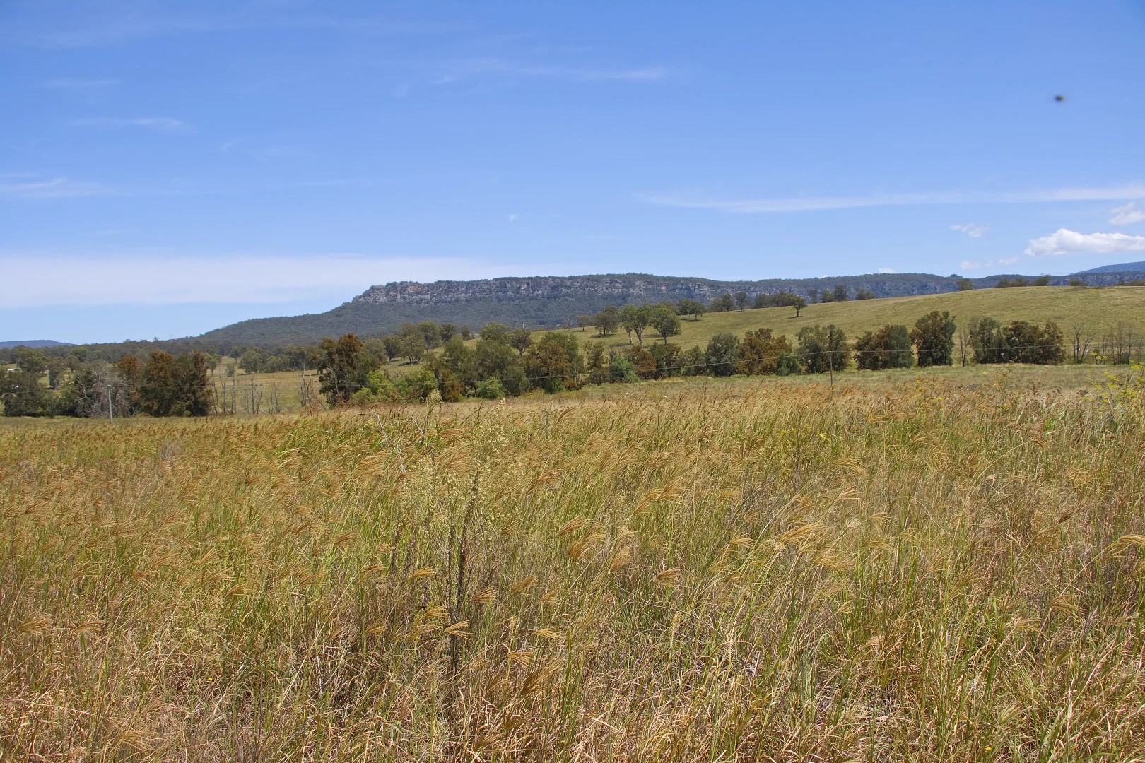 Additional image 38 of 1 New England Highway, Wingen NSW 2337