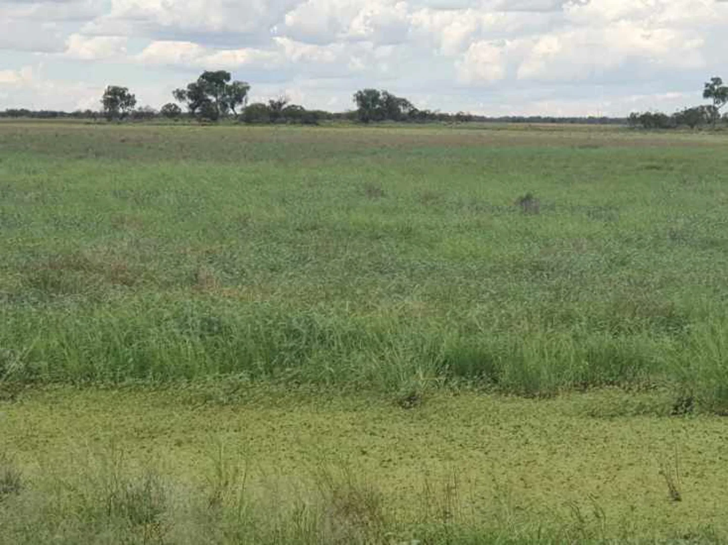 Additional image 10 of 1906 Burrawantie Road, Enngonia NSW 2840