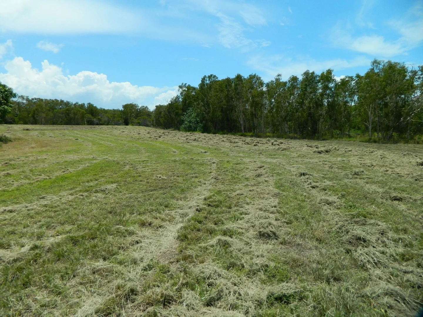 Primary image of Bucasia QLD 4750