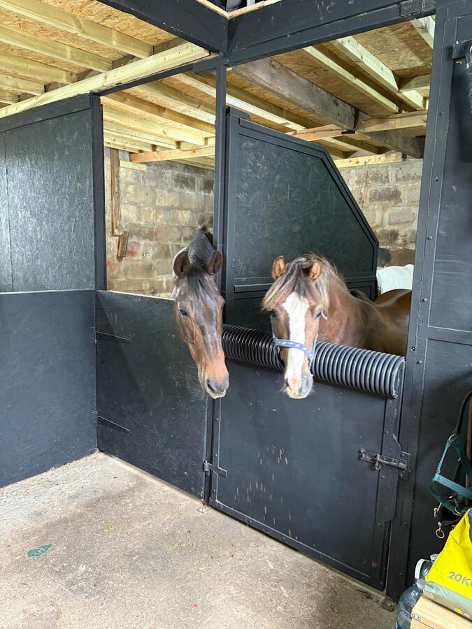 Additional image 5 of Cross Slacks, Banff, AB45