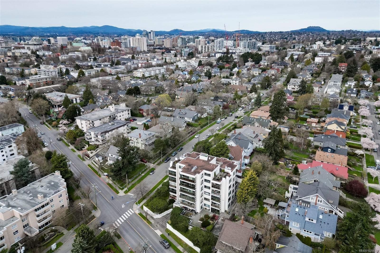 Additional image 2 of 401-1204 Fairfield Road, Victoria, BC, V8V 3B2