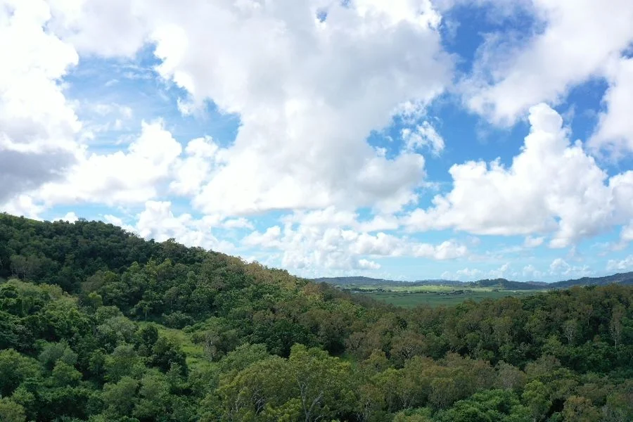 Additional image 10 of 179 Barclays Road, Dumbleton QLD 4740