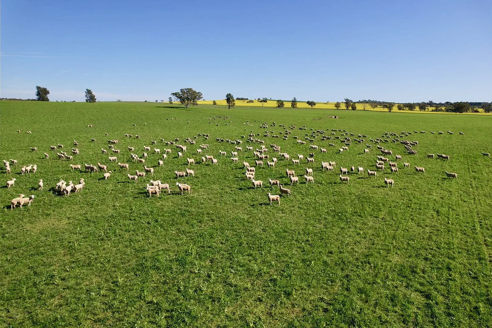 Additional image 22 of Upside Farm, 104 Flowerdale Road, Wagga Wagga NSW 2650