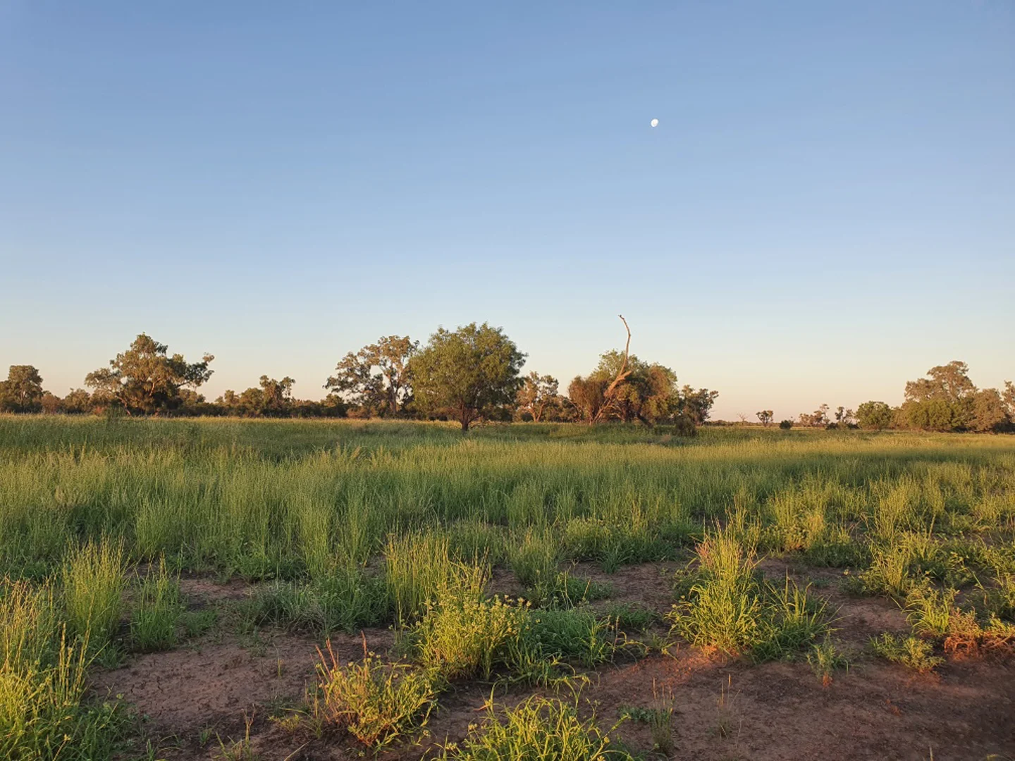 Additional image 12 of 1906 Burrawantie Road, Enngonia NSW 2840