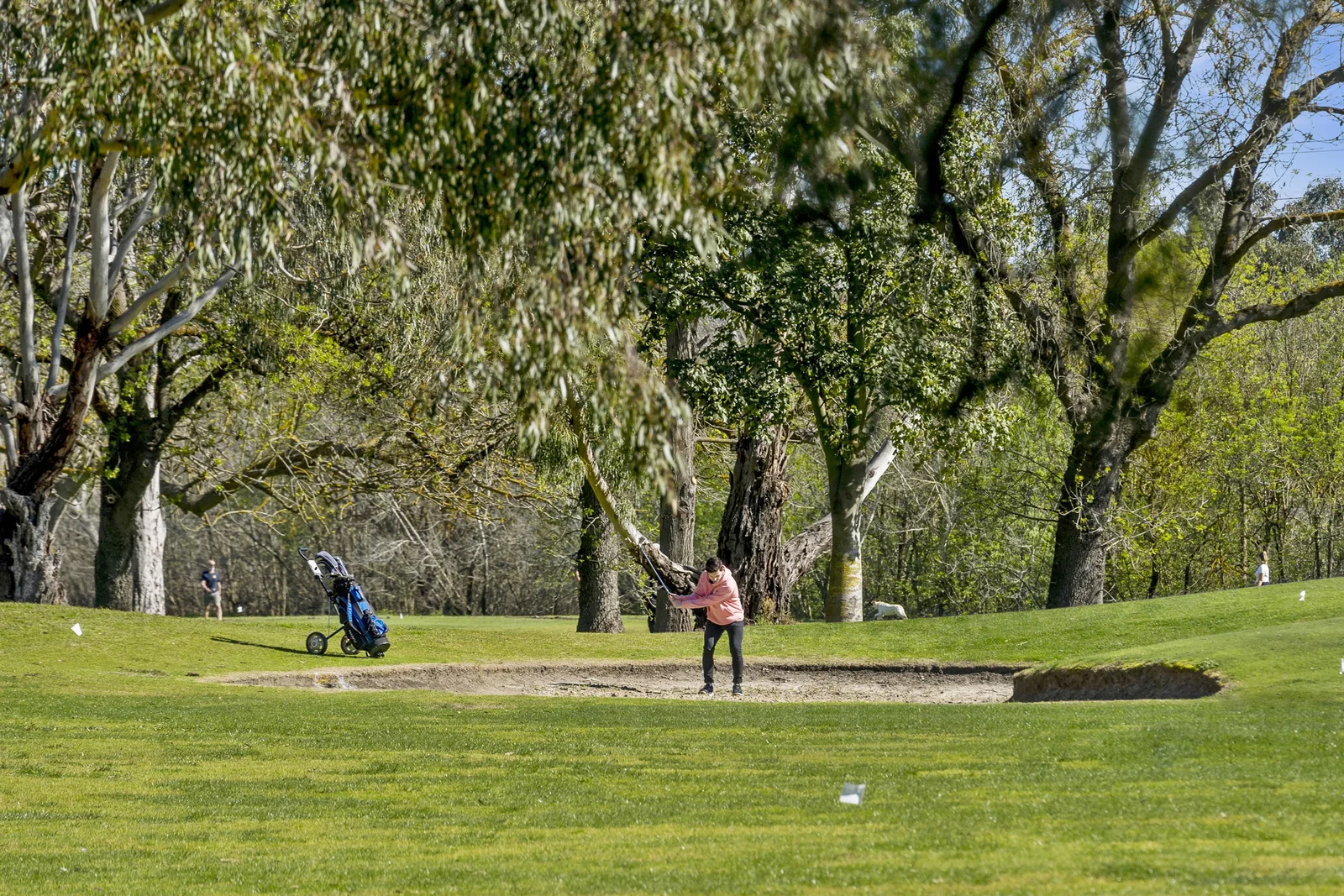 Additional image 6 of 11 Elevation Drive, Fyansford VIC 3218