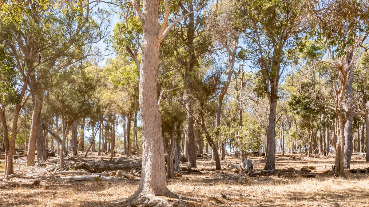 Additional image 20 of 1 Hopkins Road, Chapman Hill WA 6280