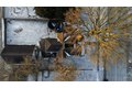 Additional image 36 of 1023 S Peoria Ave, Dixon, IL, 61021