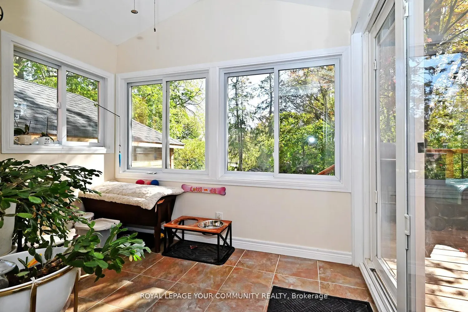 448 Timothy Street photo 5