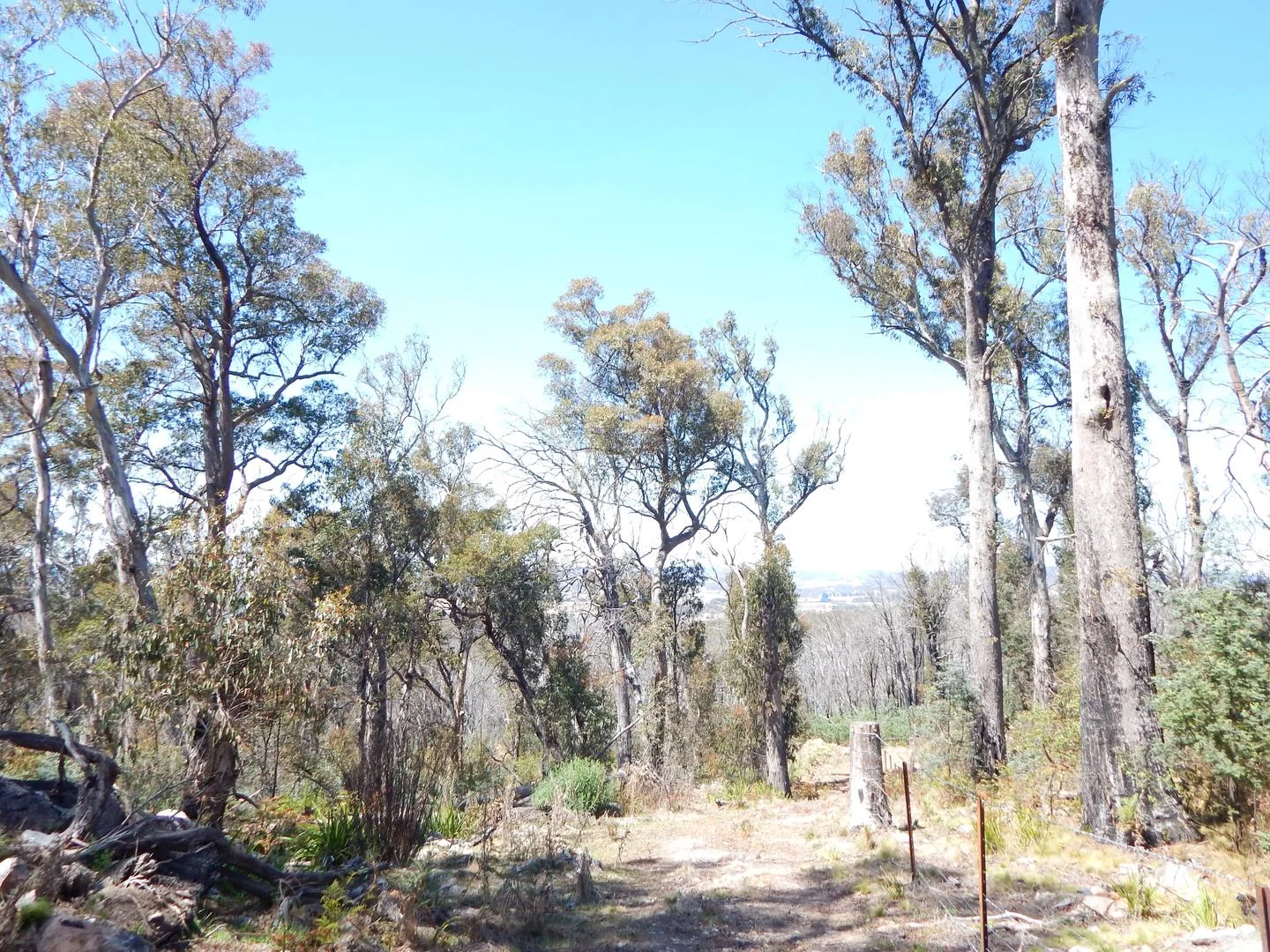 Lot 102 Badja Road, Countegany NSW 2630