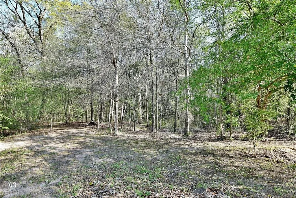 Additional image 22 of 10 Ihagee Creek Court, Fort Mitchell, AL 36856