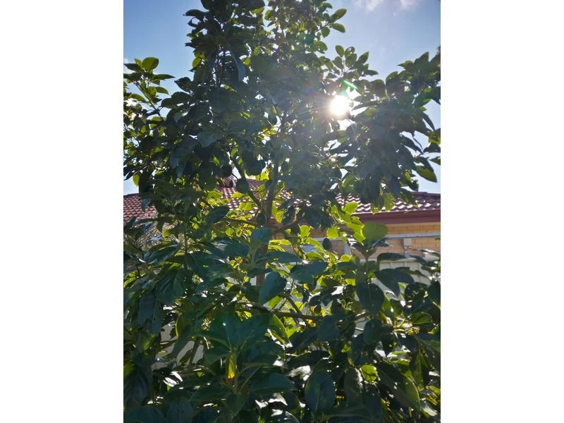 Additional image 16 of 26 Nesbit road, Greenfields WA 6210