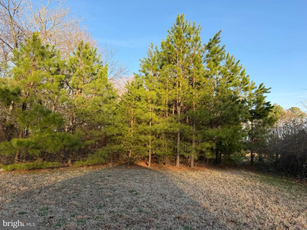 Additional image 8 of 1029 S Dupont Boulevard, Milford, DE 19963